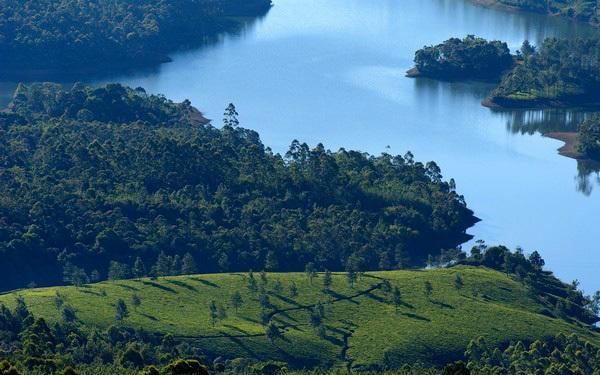 Hotel Munnar Dreams Exterior foto